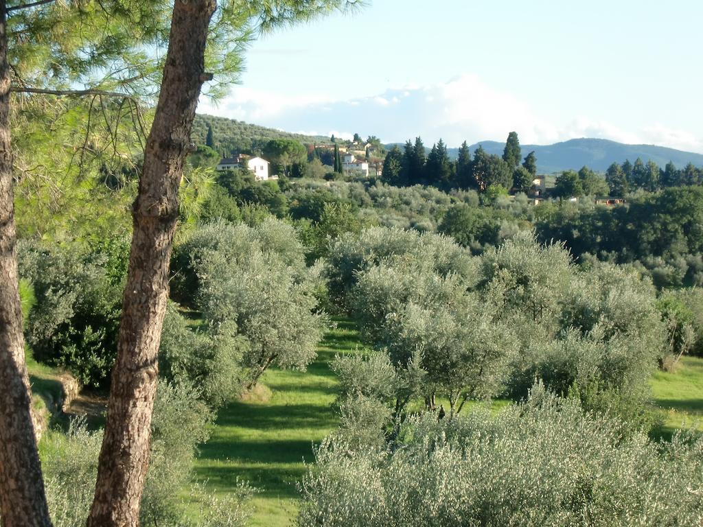 Il Palagetto