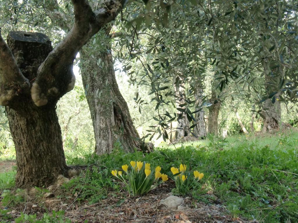 Il Palagetto Apartment *